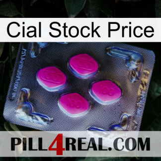 Cial Stock Price 02